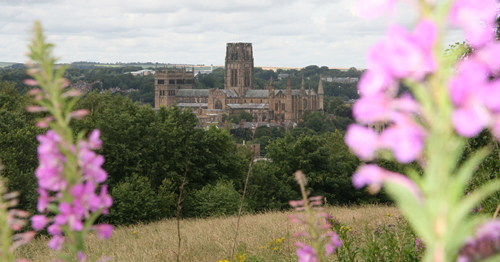 View of Durham Cathedral from Mount Joy